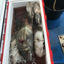 海龍丸（石川） 釣果
