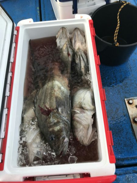 海龍丸（石川） 釣果