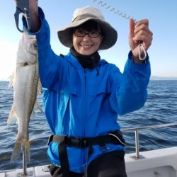 海龍丸(島根) 釣果