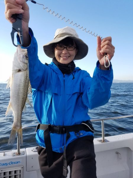 海龍丸(島根) 釣果