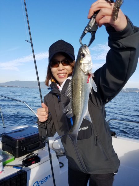 海龍丸(島根) 釣果