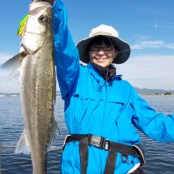 海龍丸(島根) 釣果