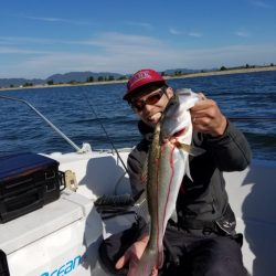 海龍丸(島根) 釣果