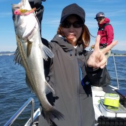 海龍丸(島根) 釣果