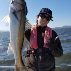 海龍丸(島根) 釣果