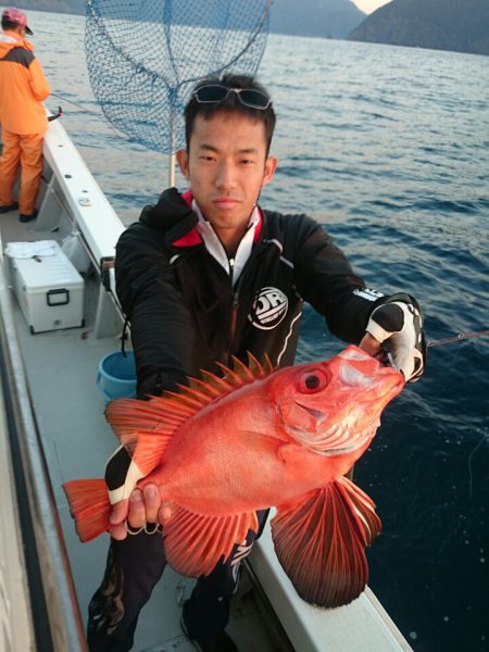 エンペラー 釣果