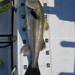 海龍丸（島根） 釣果