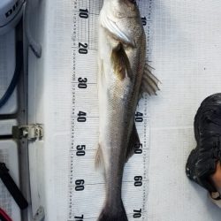 海龍丸（島根） 釣果