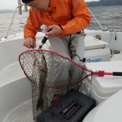 海龍丸(島根) 釣果