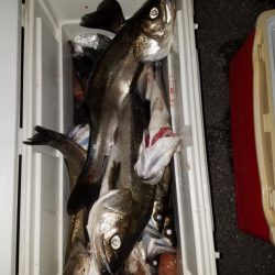 海龍丸(島根) 釣果