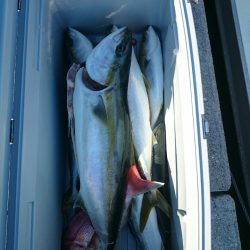 エンペラー 釣果