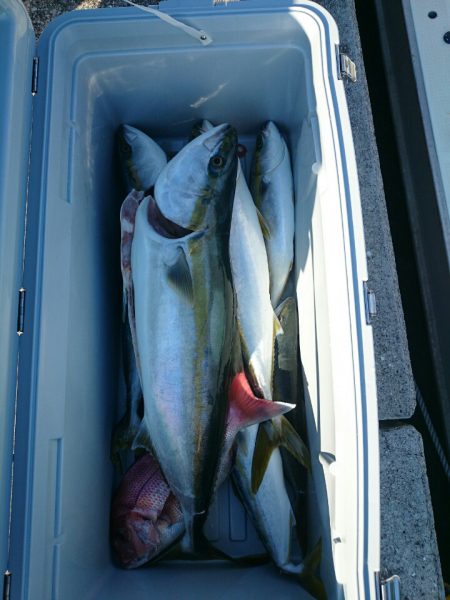 エンペラー 釣果