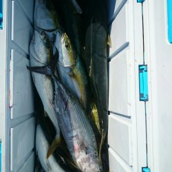 エンペラー 釣果