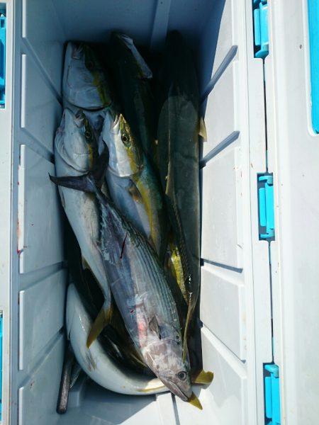 エンペラー 釣果