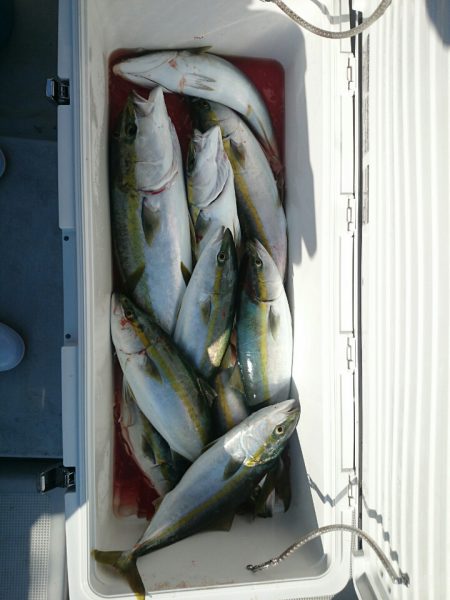 エンペラー 釣果