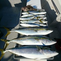 エンペラー 釣果