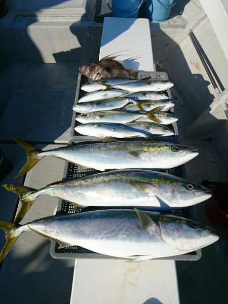 エンペラー 釣果