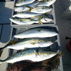 エンペラー 釣果