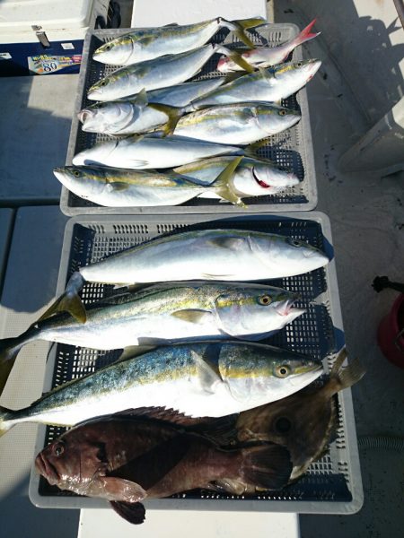 エンペラー 釣果