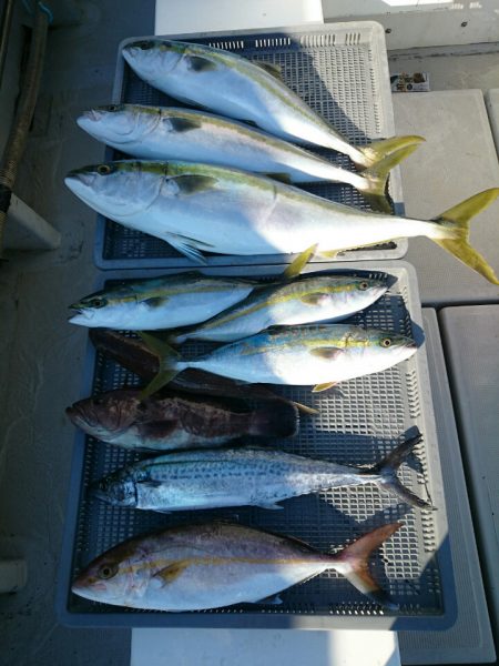 エンペラー 釣果