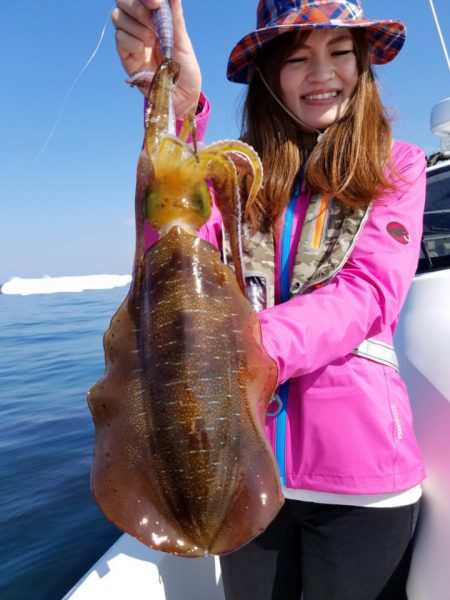 ソルトウォーターガイドフレンズ 釣果