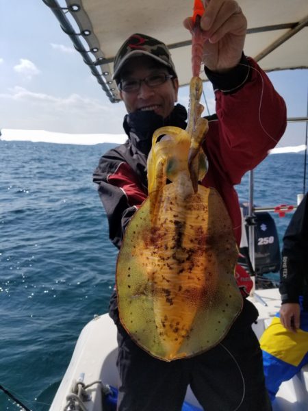 ソルトウォーターガイドフレンズ 釣果