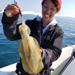 ソルトウォーターガイドフレンズ 釣果