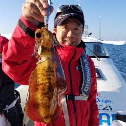 ソルトウォーターガイドフレンズ 釣果