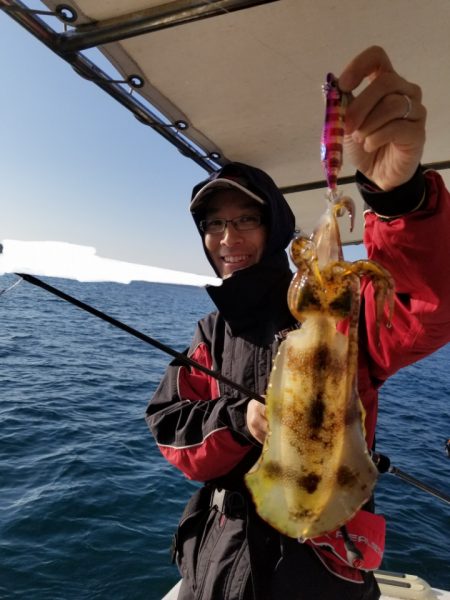 ソルトウォーターガイドフレンズ 釣果