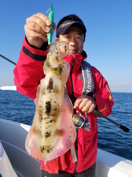 ソルトウォーターガイドフレンズ 釣果