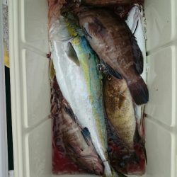 エンペラー 釣果