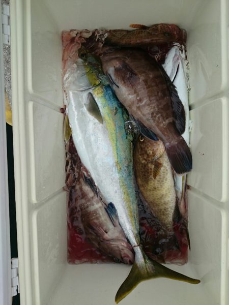 エンペラー 釣果