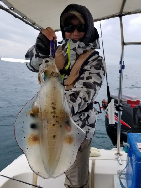 ソルトウォーターガイドフレンズ 釣果