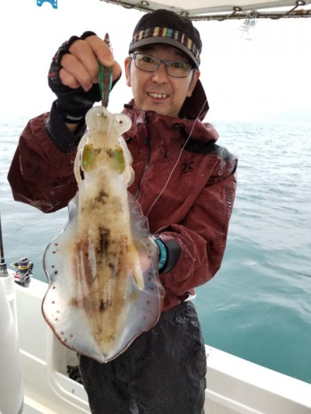 ソルトウォーターガイドフレンズ 釣果