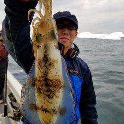 ソルトウォーターガイドフレンズ 釣果