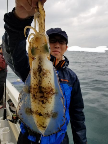 ソルトウォーターガイドフレンズ 釣果