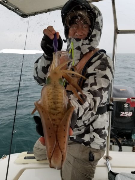 ソルトウォーターガイドフレンズ 釣果