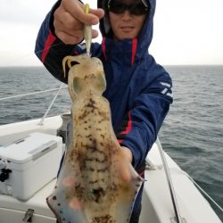 ソルトウォーターガイドフレンズ 釣果