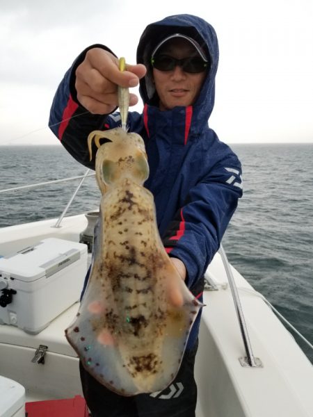 ソルトウォーターガイドフレンズ 釣果