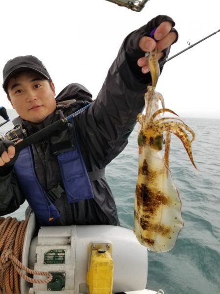 ソルトウォーターガイドフレンズ 釣果