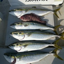 エンペラー 釣果