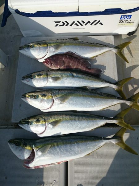 エンペラー 釣果