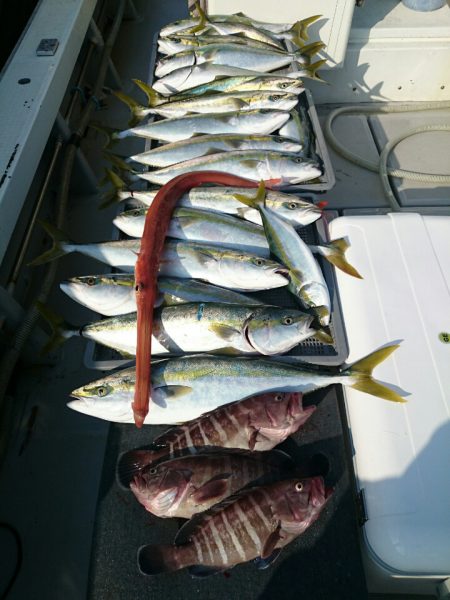 エンペラー 釣果