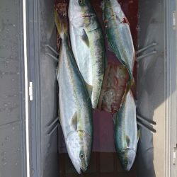 エンペラー 釣果