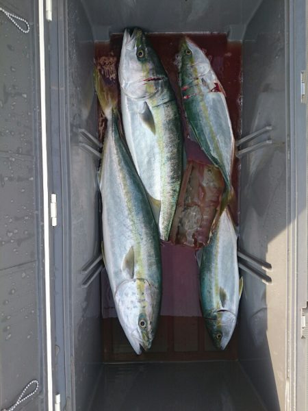 エンペラー 釣果