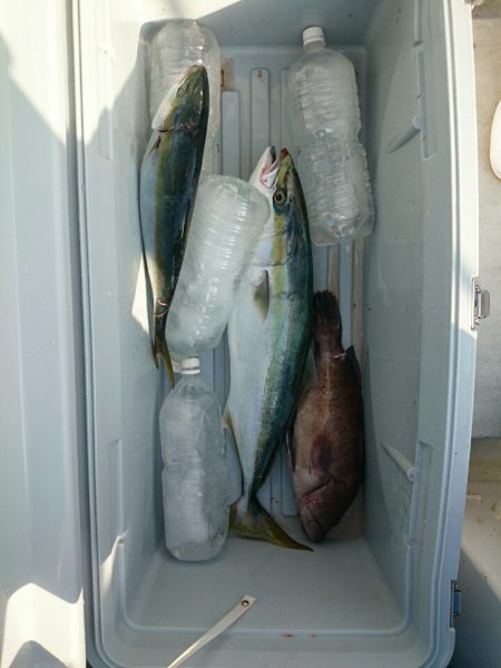 エンペラー 釣果