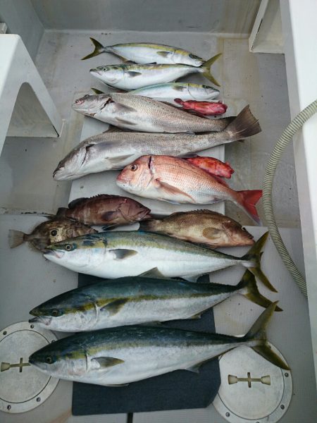 エンペラー 釣果