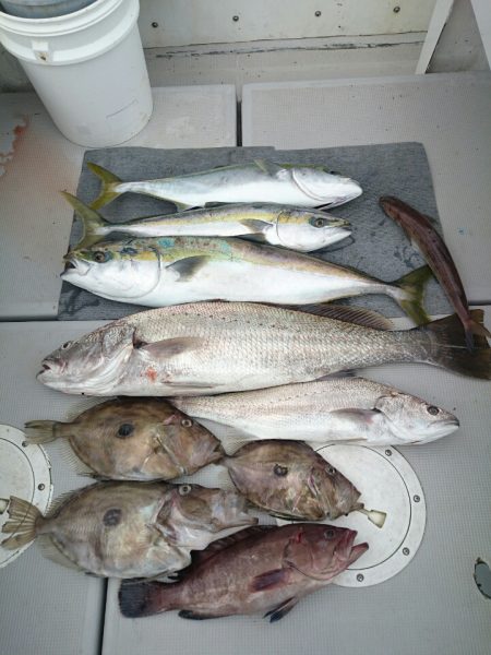 エンペラー 釣果