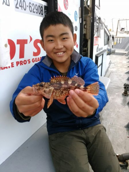 ありもと丸 釣果