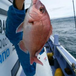新幸丸 釣果